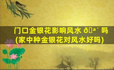 门口金银花影响风水 🪴 吗(家中种金银花对风水好吗)